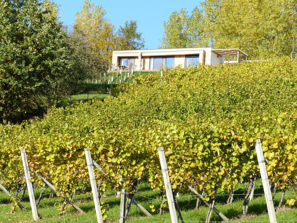 Weingarten-Resort Unterlamm Loipersdorf - Adults Only Exterior foto